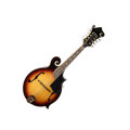 Washburn M3SW F-Style Solid Wood Mandolin (With Case)