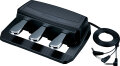 Roland RPU3 Pedal Unit for RD700NX, FP-4F and FP-7F