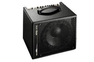 AER Amp One Bass Combo Amplifier (200 Watts, 1x10