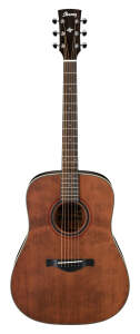 Ibanez AW250 Artwood Acoustic Guitar