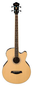Ibanez AEB5E Acoustic-Electric Bass