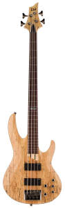 ESP LTD B204 Fretless Electric Bass