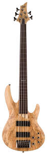 ESP LTD B205 Fretless Electric Bass, 5-String