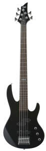 ESP LTD B55 5-String Electric Bass