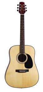 Jasmine by Takamine S33 Dreadnought Acoustic Guitar (with Case)