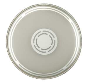 Evans EC2 Coated Edge Control Reverse Dot Snare Drumhead