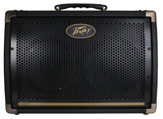 Peavey Ecoustic 208 Amp