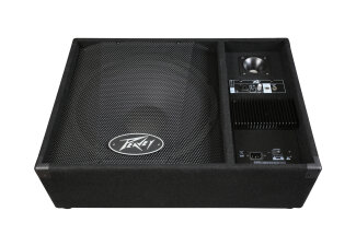Peavey PV115PM PA Speaker