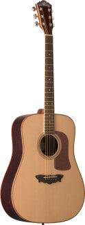 Washburn D56SW Acoustic