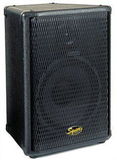 Squier SQ10 PA Speaker