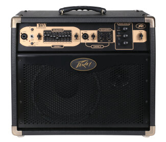 Peavey E110 Ecoustic