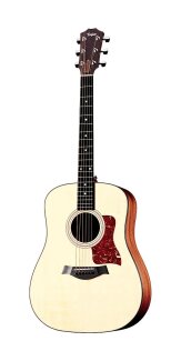 Taylor 310