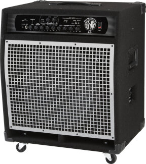 SWR WorkingPro 15 Amp