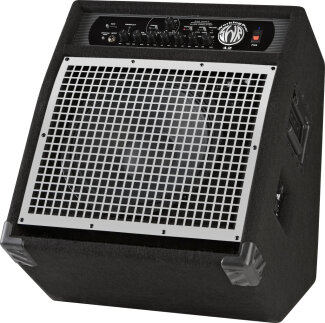 SWR WorkingPro 12 Amp