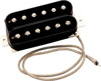Van Halen Franken Pickup