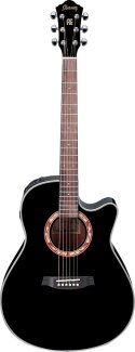 Ibanez AEF18 Guitar