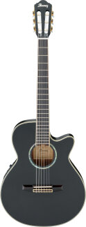 Ibanez AEG10N