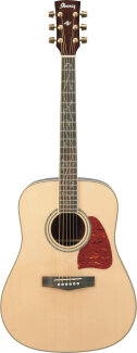 Ibanez AW40