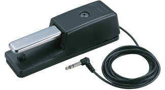 Roland DP10 Pedal