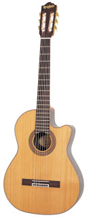 Epiphone EN546CE Guitar