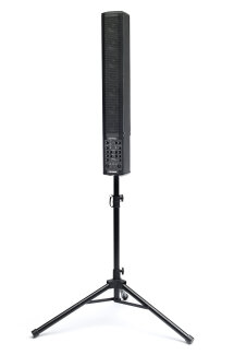 Fishman SoloAmp