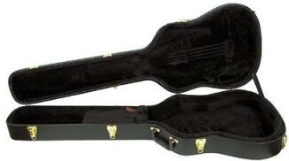 Ibanez AEB50C Case
