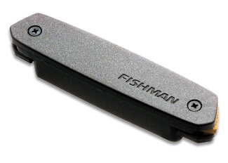 Fishman Neo-D Sound-Hole