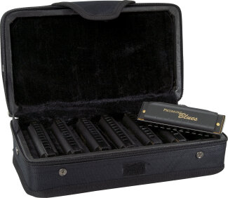 Hohner Piedmont Blues Set