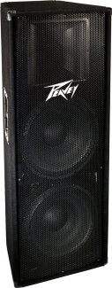 Peavey PV215 PA Speaker