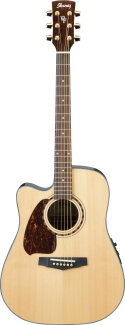 Ibanez PF5LECE Lefty