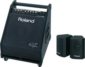 Roland PM-30 Monitor