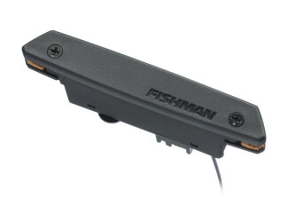 Fishman Rare Earth Pickup