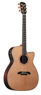 Alvarez WY1 Yairi Guitar