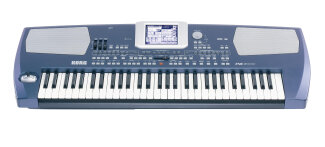 Korg Pa500 Arranger