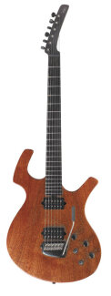 Parker Nitefly-M Guitar