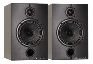 Wharfedale DP8.1A Monitor