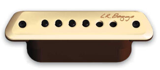 LR Baggs M1 Guitar Pickup