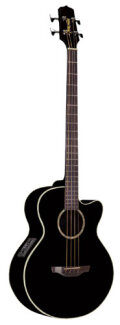 Takamine EG512C