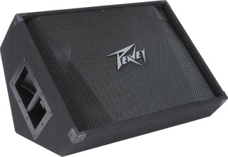 Peavey PV 15M Monitor