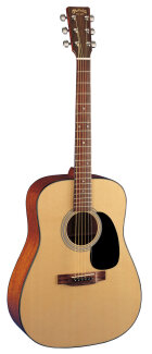 Martin D18 Acoustic