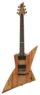 ESP LTD FX260 Guitar