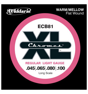 D'Addario ECB81 Strings