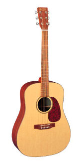 Martin DXM Acoustic