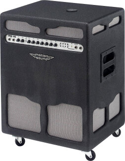Motion Sound PRO145 Amp