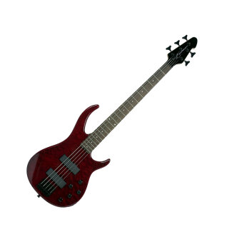 Peavey Millennium 5