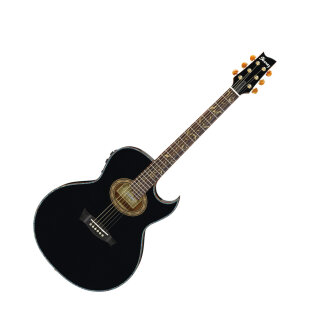 Ibanez EP10 Steve Vai