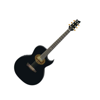 Ibanez EP5 Steve Vai