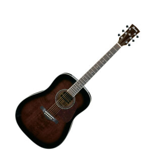 Ibanez AW300 Guitar