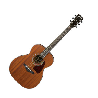 Ibanez AC240 Artwood