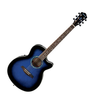 Ibanez AEG10E Acoustic
